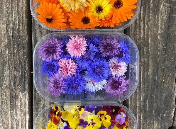 Edible flower punnet