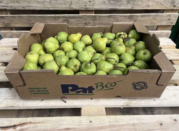 Pears - Packham