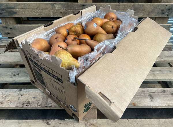 Pears - Beurre Bosc
