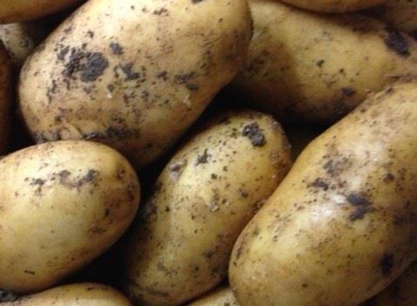 NEW Potatoes