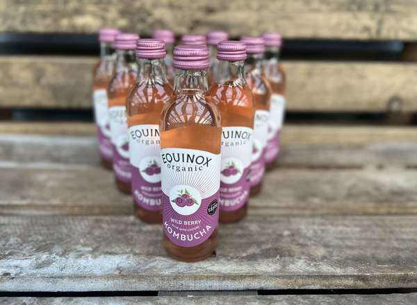 Kombucha: Wild Berry