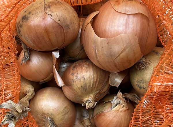 Onions - Brown 500g