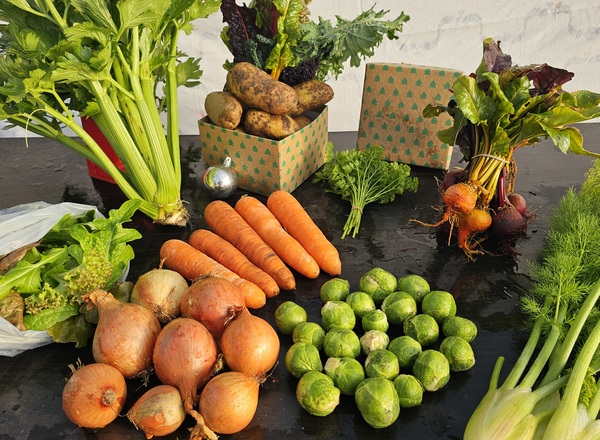 Sponsor an Organic Christmas veg box