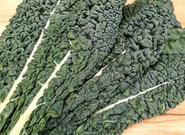 Organic Cavolo Nero