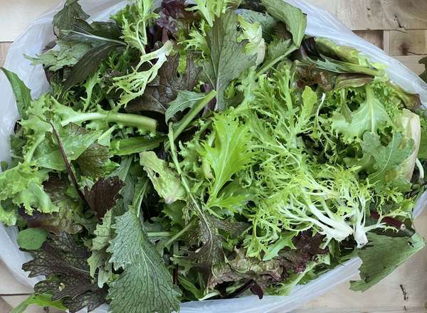 Organic Salad Mixed Leaf (90g)