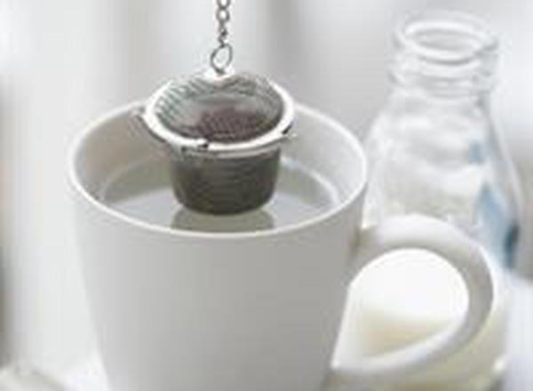 Eco Living Stainless Steel Tea Basket