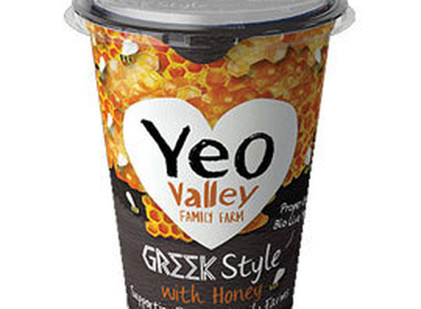 Yogurt Greek Style with Honey - Organic