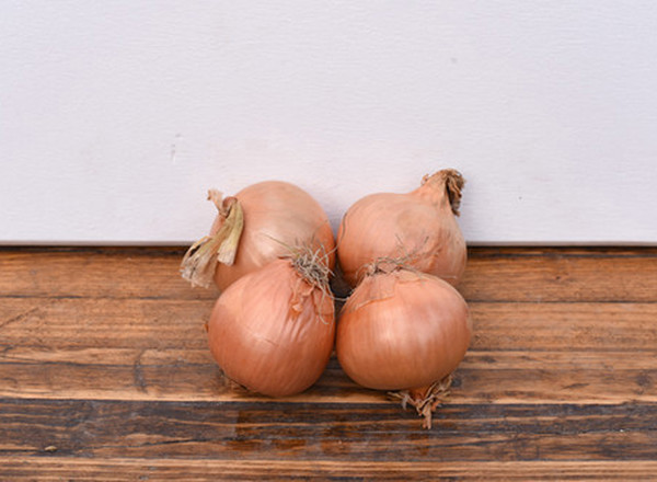 Organic Onions (Brown) 4