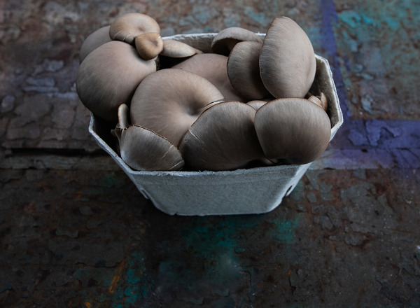 500g Rhyze Oyster Mushrooms