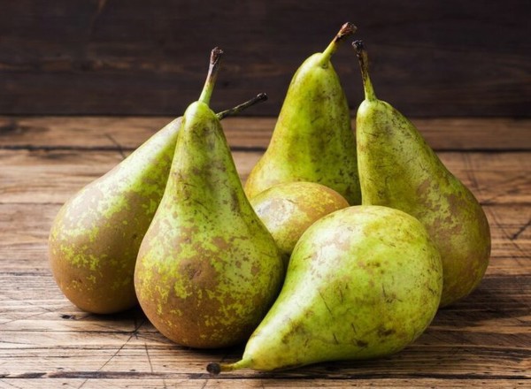 Pear: Conference