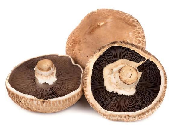 Mushroom (Portabello) - Organic