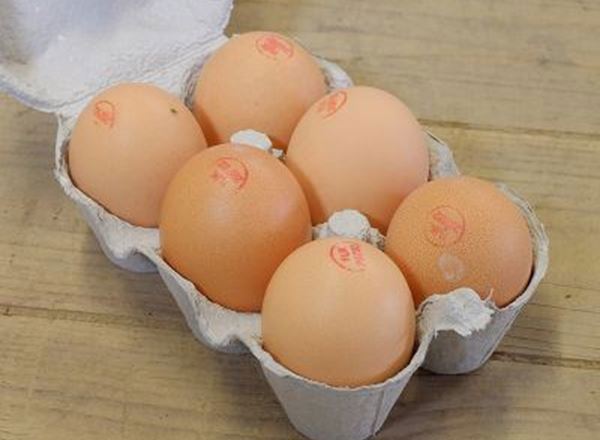 Medium Free Range Eggs