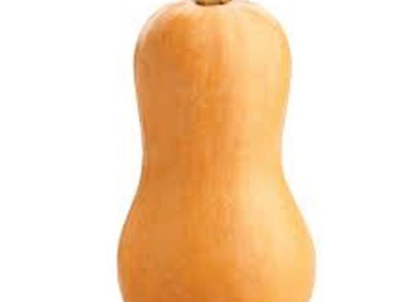 Butternut Squash EKG