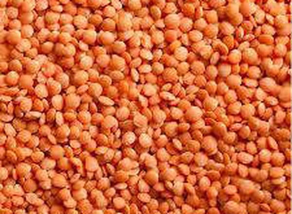 Beaniepack Organic Red Lentils