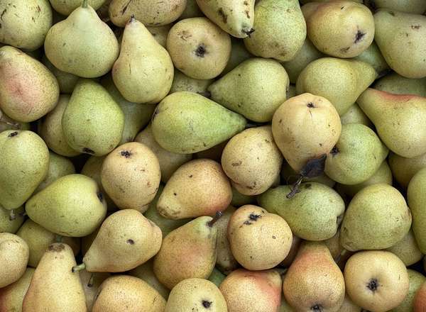 Pears - Guyot