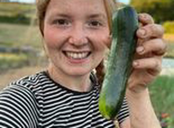 Courgette