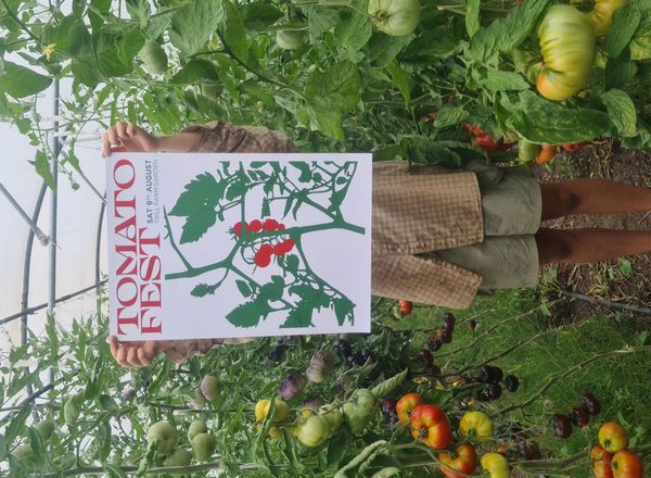 Tomato Fest poster