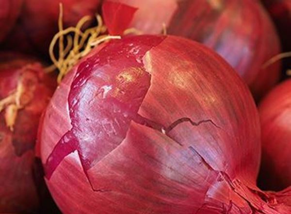 Onion (Red) - Organic