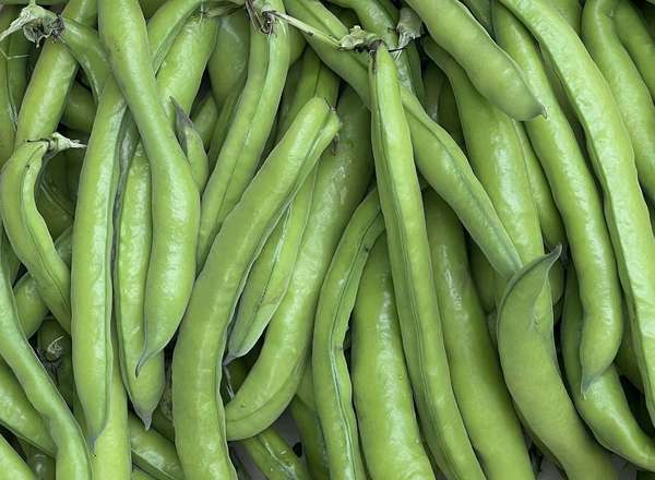 Organic Broad Beans (750g)
