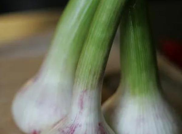 Green Garlic - Pair