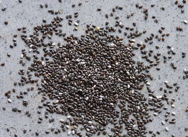 Chia Seeds - Organic British