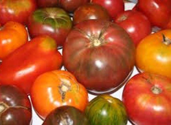 Tomatoes Heritage (Own Grown) 200g