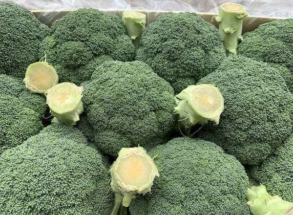 Brocolli