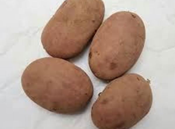 Potatoes-Organic