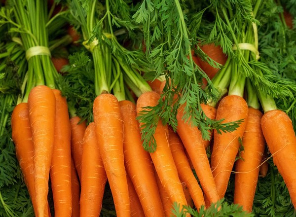 Organic Bunched Carrots