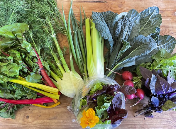 Medium Veg Box