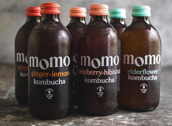 Organic Kombucha combo pack