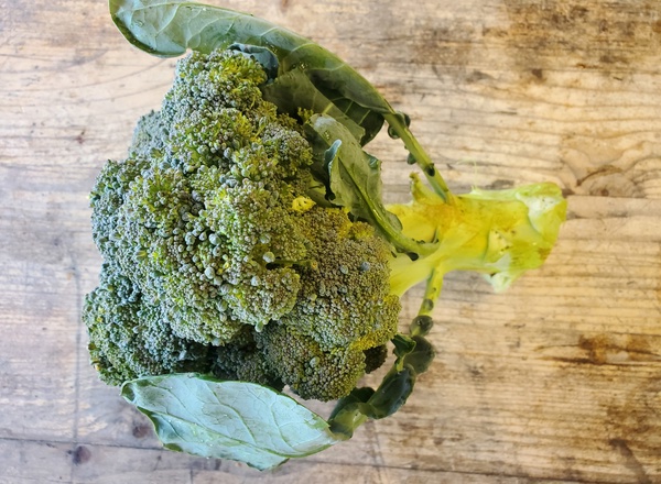 Broccoli - Calabrese