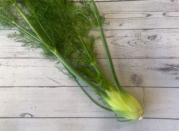Fennel