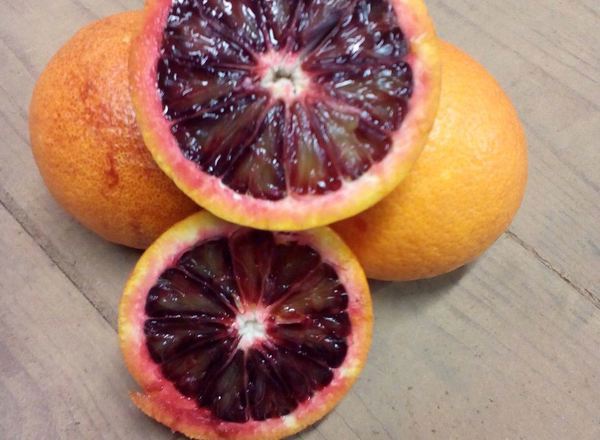 Citrus- Blood Oranges