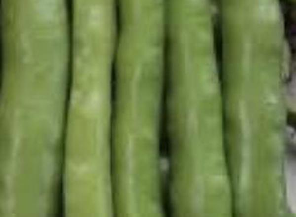 Broad Beans 🇬🇧