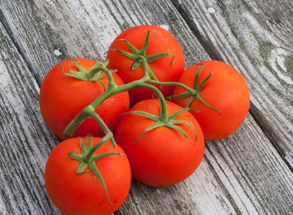 Tomatoes Vine