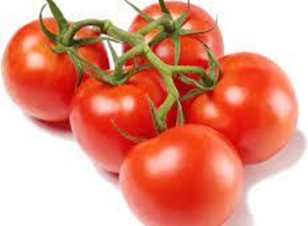 Tomatoes Vine
