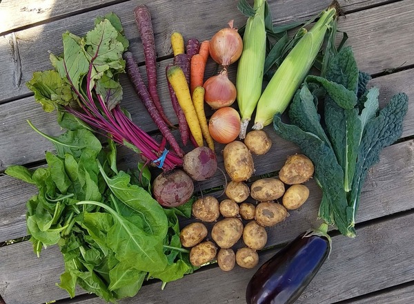 Veg Box - Large