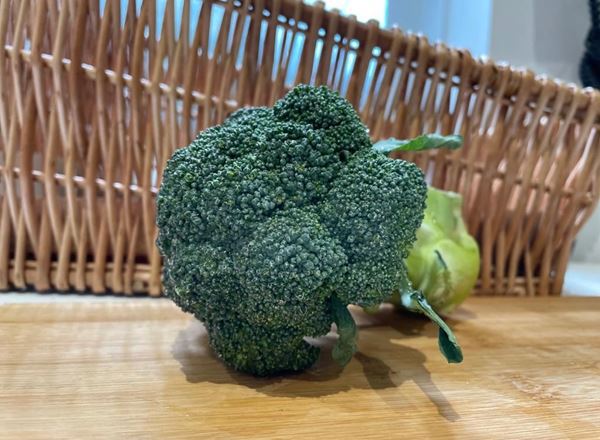 Broccoli, calabrese