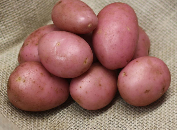 Potato: Sunset (Red) 3kg