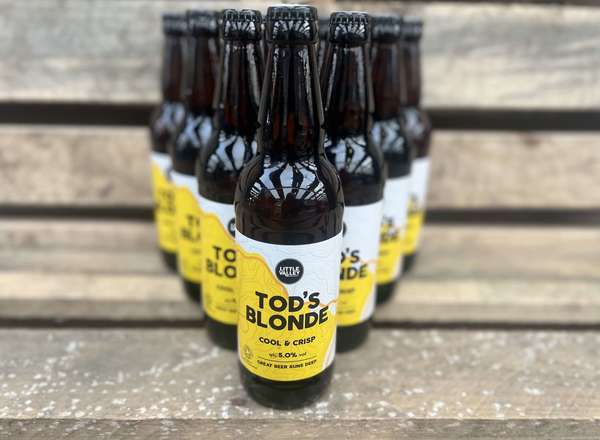 Case of 12 x 500ml Tods Blonde