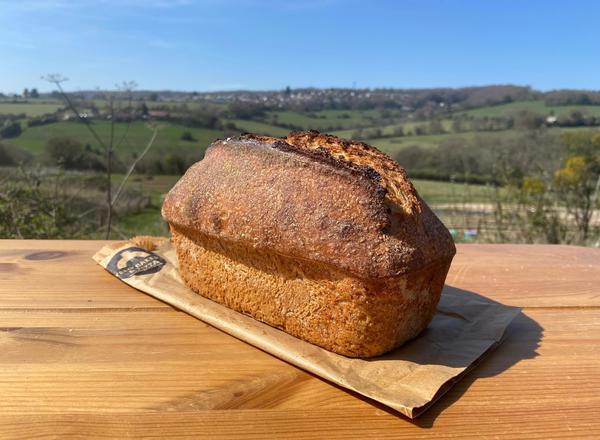 Wholemeal spelt sourdough