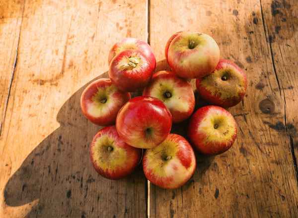 Organic Apples