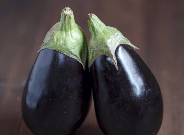 Aubergine