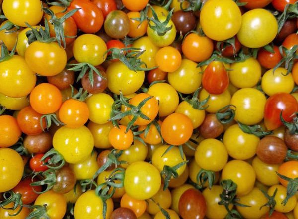 500g Local Cherry Tomatoes
