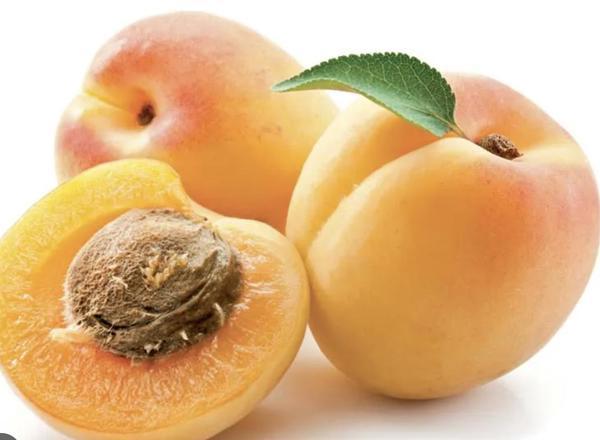 Apricot (250g)