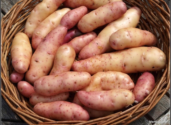 Potatoes - Pink Fir  500g