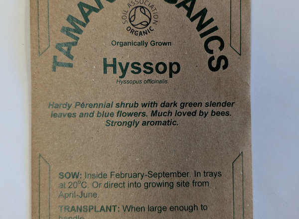 (Seeds) Hyssop
