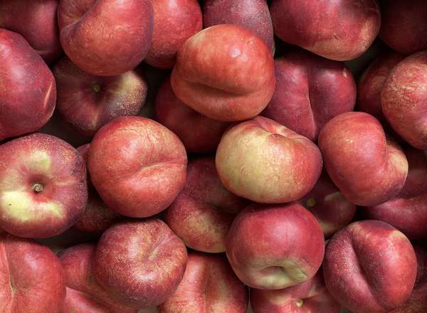 Organic Flat Nectarine (600g)