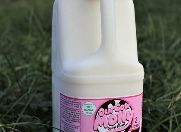 Our Cow Molly Skimmed Milk, 2L